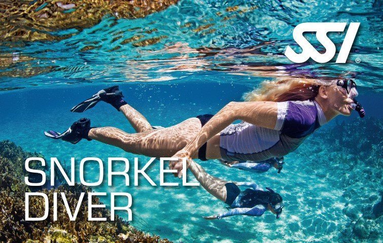 https://www.blanes-sub.com/wp-content/uploads/2020/04/190372_470000_snorkel_diver_small.jpg